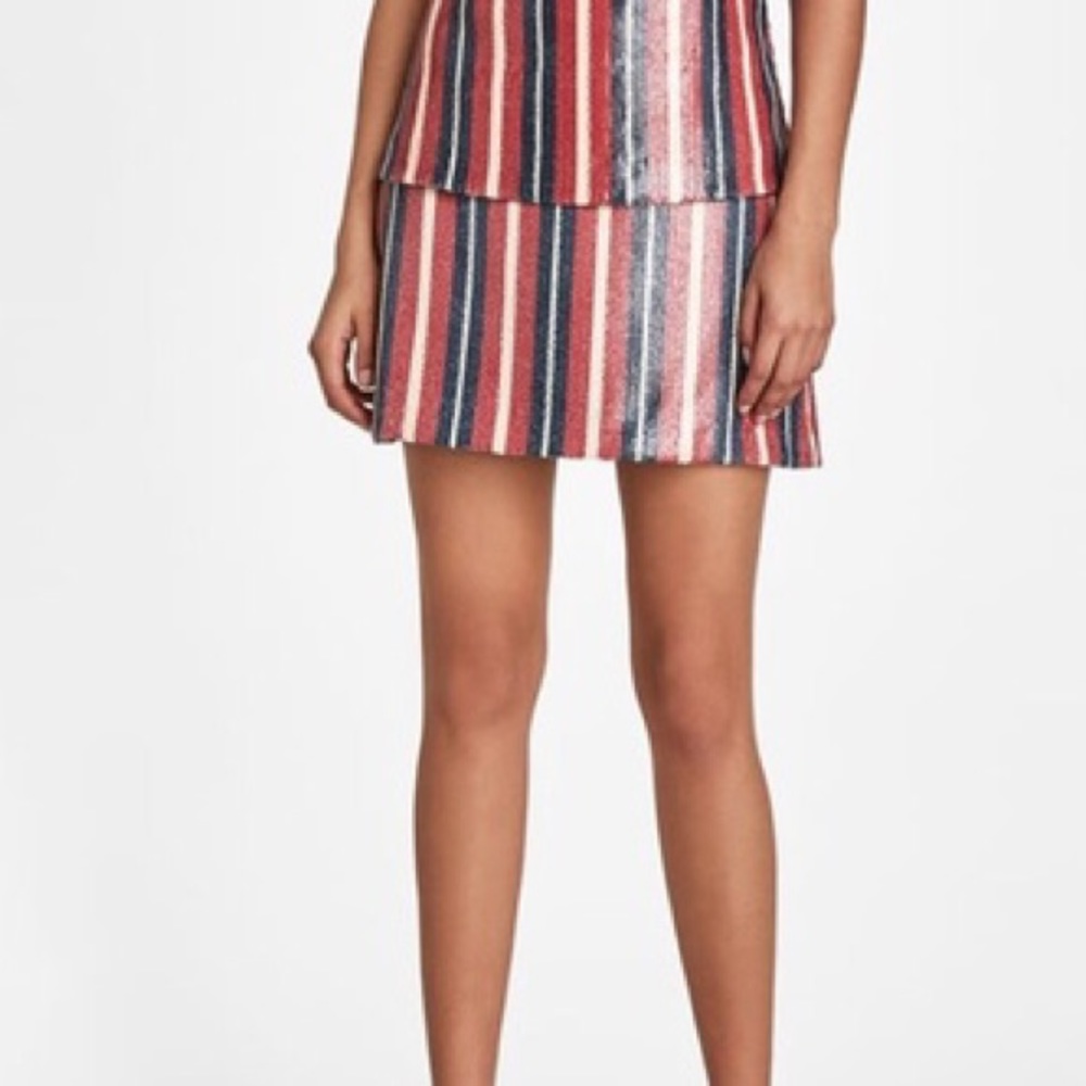 Zara sequin skirt